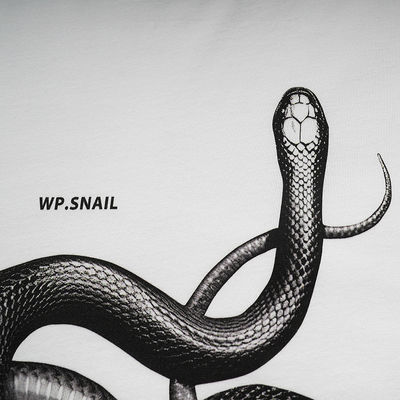 Gender-Neutral 3D Printed Snake Loose T-shirt for Street Fashion in Various Sizes