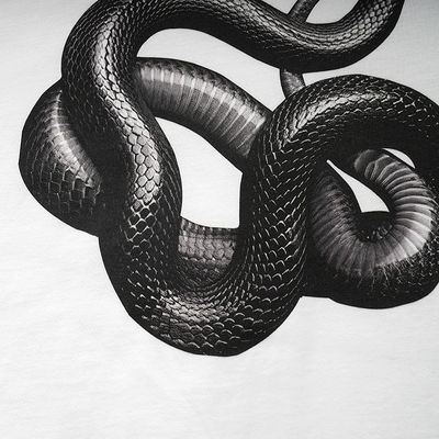 Gender-Neutral 3D Printed Snake Loose T-shirt for Street Fashion in Various Sizes